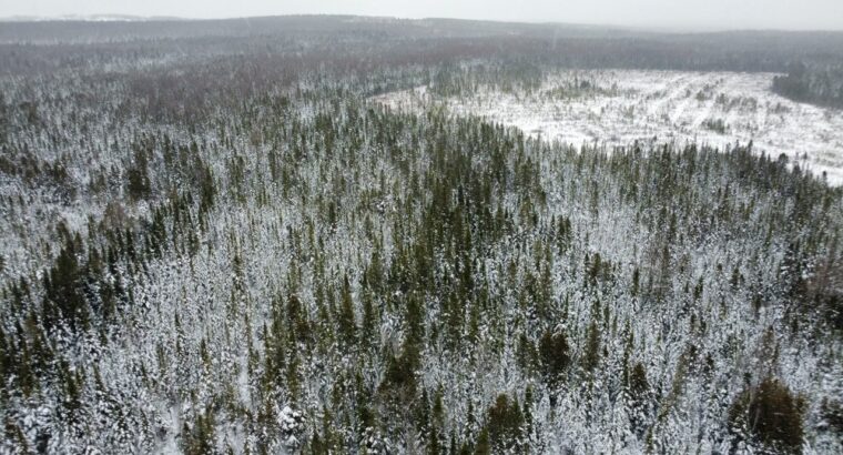 Ste-Rose-de-Watford (Chaud-App.)Terre droit constr