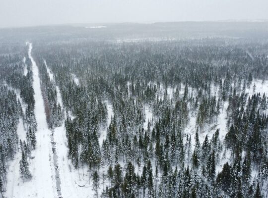 Ste-Rose-de-Watford (Chaud-App.)Terre droit constr