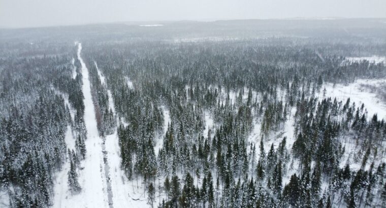 Ste-Rose-de-Watford (Chaud-App.)Terre droit constr