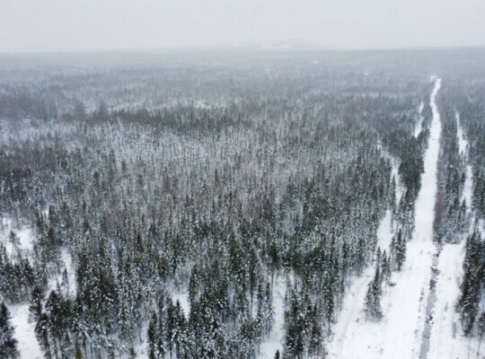 Ste-Rose-de-Watford (Chaud-App.)Terre droit constr
