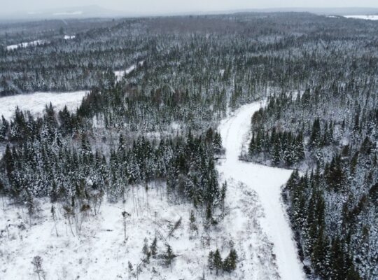 Ste-Rose-de-Watford (Chaud-App.)Terre droit constr