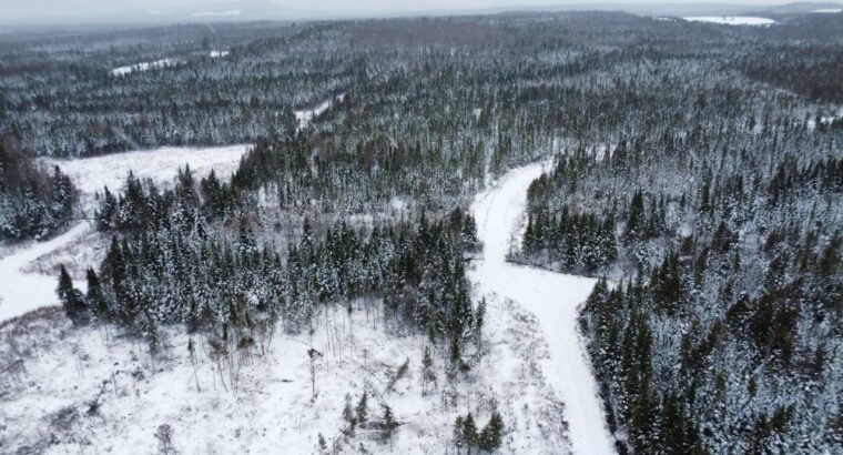 Ste-Rose-de-Watford (Chaud-App.)Terre droit constr