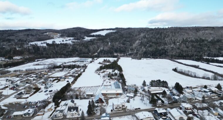 St-Urbain (Capitale-Nationale) : Ferme d’émeu