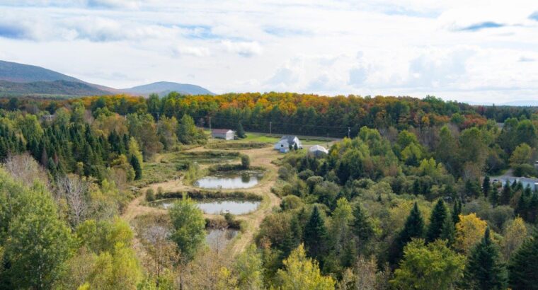 Hampden domaine de 111 acres, étangs, maison