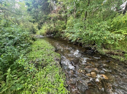 Hampden domaine de 111 acres, étangs, maison