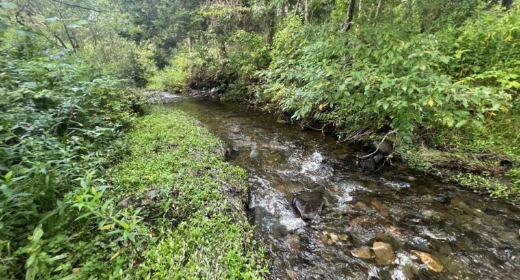 Hampden domaine de 111 acres, étangs, maison