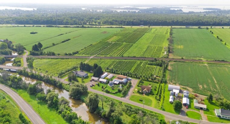 Coteau-du-Lac (Montérégie) : Vignoble 28ac Maison