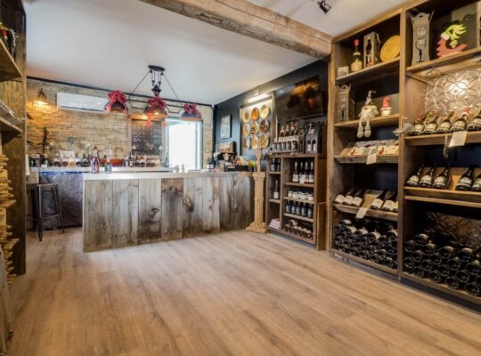 Coteau-du-Lac (Montérégie) : Vignoble 28ac Maison