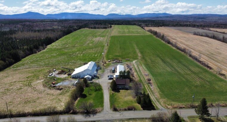 La Patrie en Estrie : Ferme 170ac Maison 4c