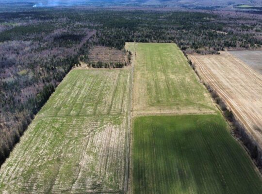 La Patrie en Estrie : Ferme 170ac Maison 4c
