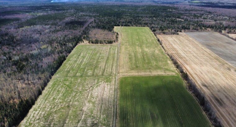 La Patrie en Estrie : Ferme 170ac Maison 4c
