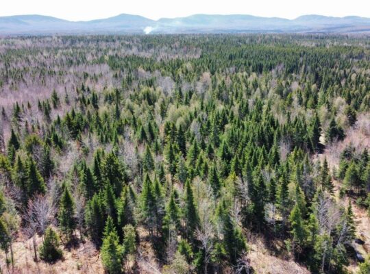 La Patrie en Estrie : Ferme 170ac Maison 4c