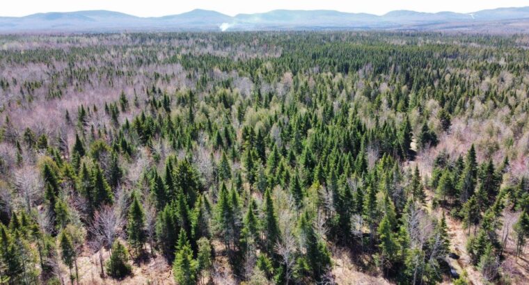 La Patrie en Estrie : Ferme 170ac Maison 4c