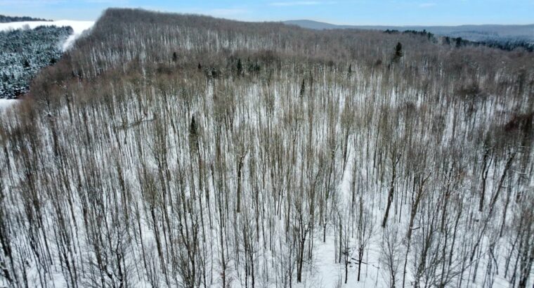 Dudswell (Estrie) : Fermette 108 acres, bâtiments