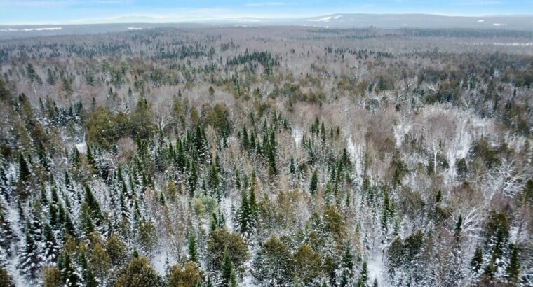 Dudswell (Estrie) : Fermette 108 acres, bâtiments