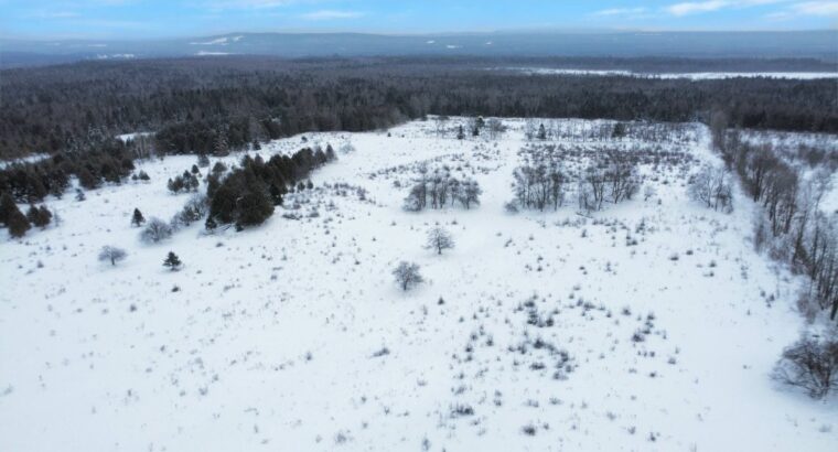 Dudswell (Estrie) : Fermette 108 acres, bâtiments