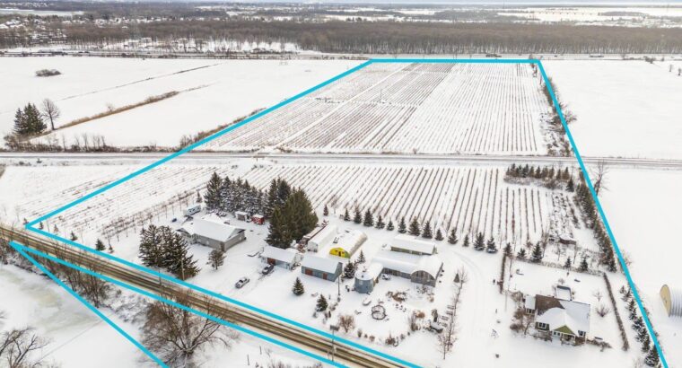 Coteau-du-Lac (Montérégie) : Domaine viticole 258a