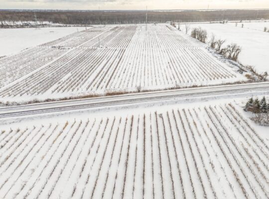 Coteau-du-Lac (Montérégie) : Domaine viticole 258a
