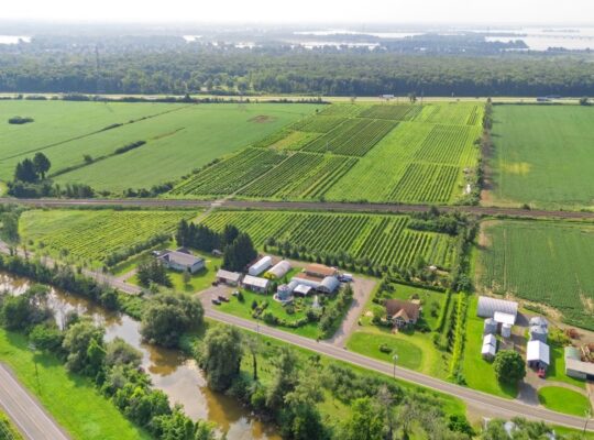 Coteau-du-Lac (Montérégie) : Domaine viticole 258a