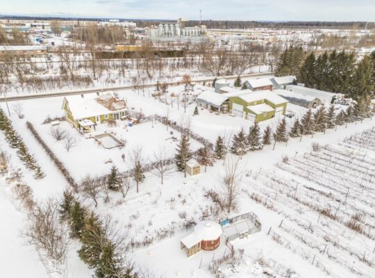 Coteau-du-Lac (Montérégie) : Domaine viticole 258a