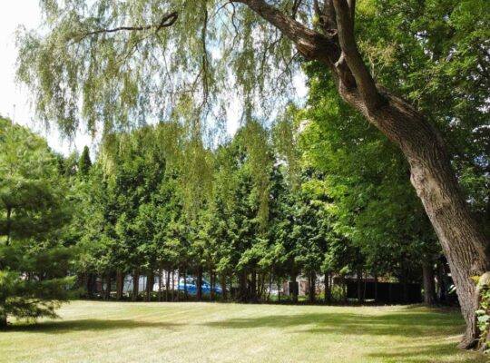 Estrie (Danville) : Maison terrain de 19 461Pi2