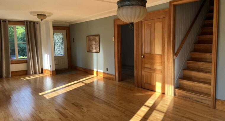 Estrie (Danville) : Maison terrain de 19 461Pi2