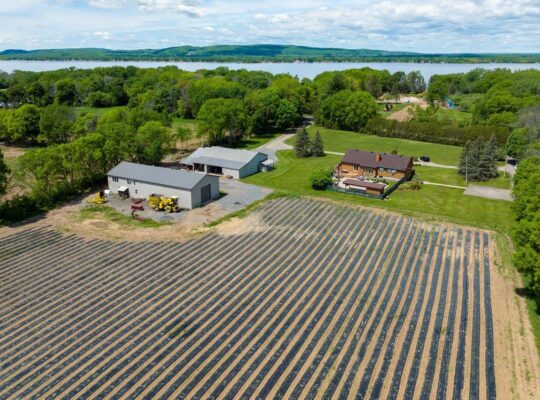 L’Île-Bizard (Montréal) : Luxueux domaine agricole