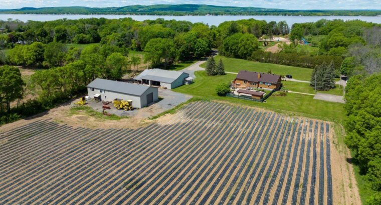 L’Île-Bizard (Montréal) : Luxueux domaine agricole
