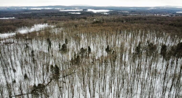 St-Joachim-de-Shefford (Estrie) Érablière 53 acres