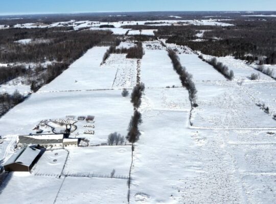 Roxton (Montérégie) : Ferme 244 acres, étable
