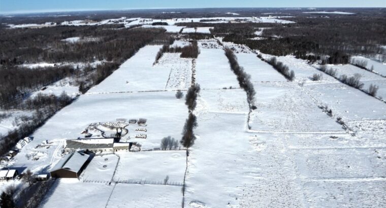 Roxton (Montérégie) : Ferme 244 acres, étable