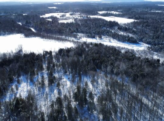 Roxton (Montérégie) : Ferme 244 acres, étable