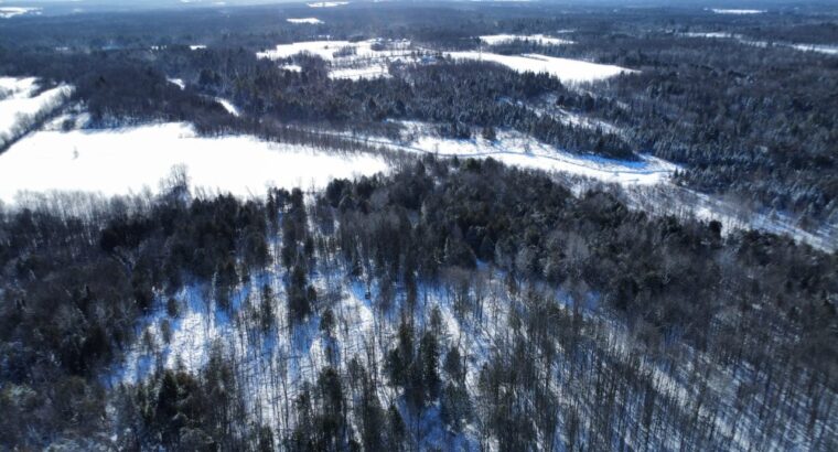 Roxton (Montérégie) : Ferme 244 acres, étable