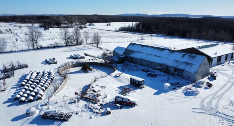 Roxton (Montérégie) : Ferme 244 acres, étable