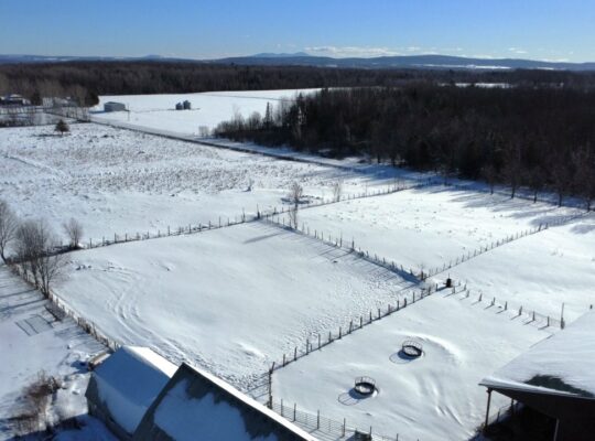 Roxton (Montérégie) : Ferme 244 acres, étable