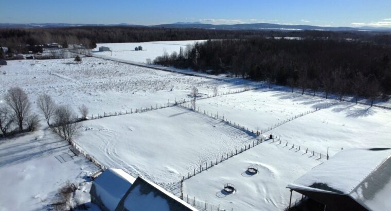 Roxton (Montérégie) : Ferme 244 acres, étable