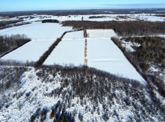 Roxton (Montérégie) : Ferme 244 acres, étable