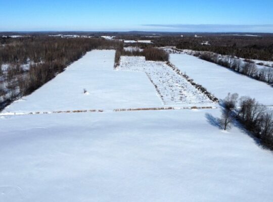 Roxton (Montérégie) : Ferme 244 acres, étable