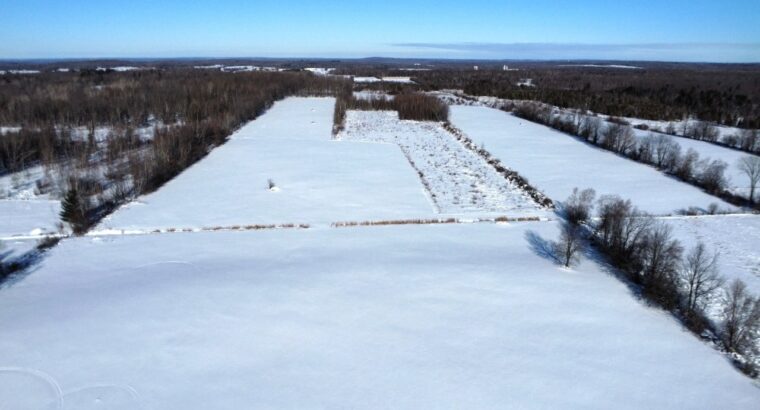Roxton (Montérégie) : Ferme 244 acres, étable