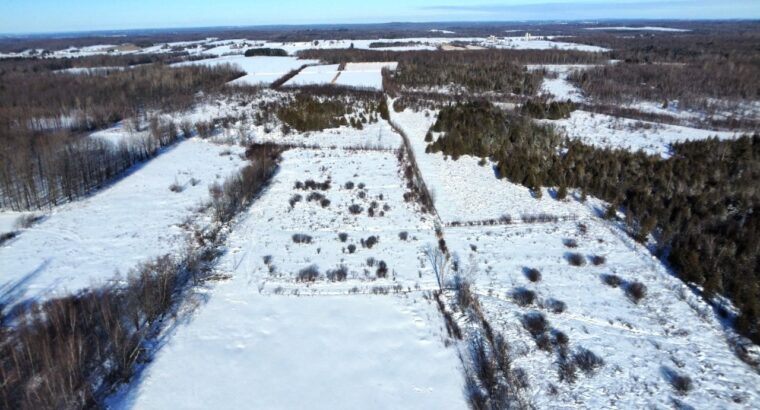 Roxton (Montérégie) : Ferme 244 acres, étable
