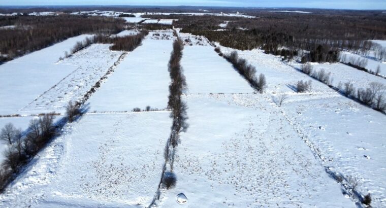 Roxton (Montérégie) : Ferme 244 acres, étable