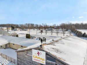 Lévis- Centre équestre; 3 maisons; écuries
