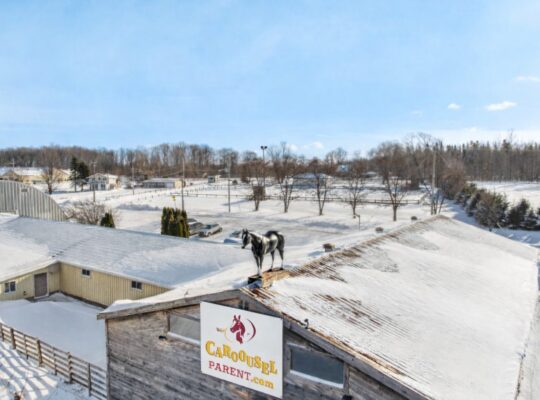Lévis- Centre équestre; 3 maisons; écuries