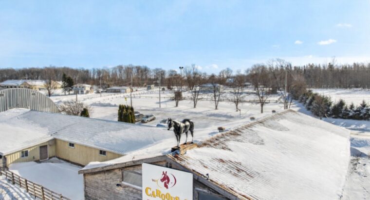 Lévis- Centre équestre; 3 maisons; écuries