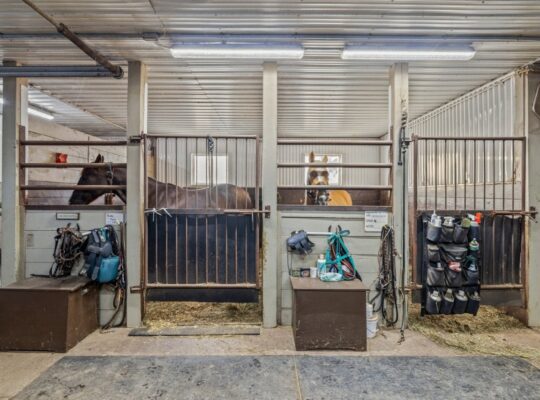 Lévis- Centre équestre; 3 maisons; écuries