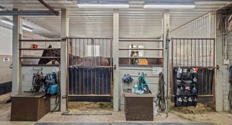 Lévis- Centre équestre; 3 maisons; écuries