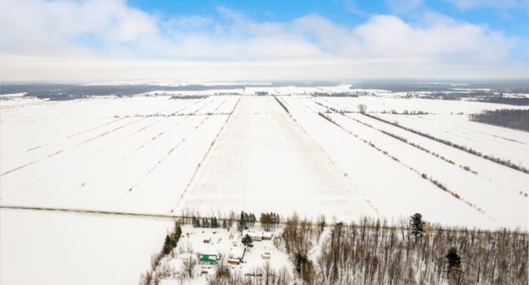 Ste-Eulalie (Ctre-Qc) : Terres agricoles 188 acres