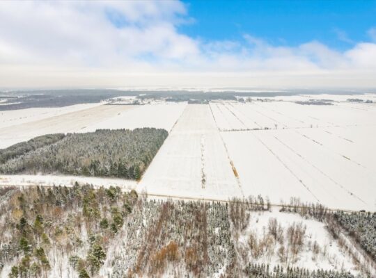 Ste-Eulalie (Ctre-Qc) : Terres agricoles 188 acres