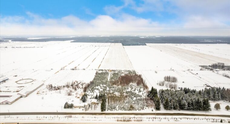 Ste-Eulalie (Ctre-Qc) : Terres agricoles 188 acres