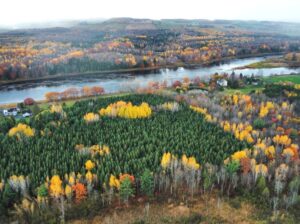 St-Félix-de-Kingsey (Ctre-du-Québec) : Terre 423ac